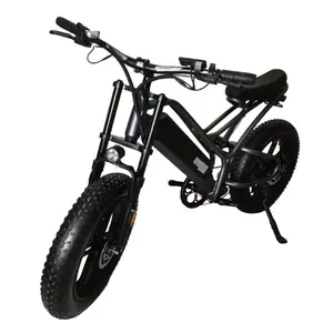 Skuter mobilitas orang tua elektrik, sepeda listrik 2 roda multifungsi 350w 48v