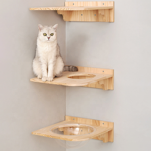2025 nuevo Popular divertido estante de madera maciza para gatos montado en la pared escalera de escalada cápsula nido gato Pared de pista de escalada para gatos - Product Image 5