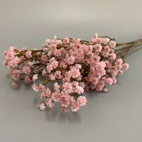 Fleurs de Gypsophile Artificielles en Gros, Toucher Réel, Blanc et Marron, pour Décoration de Mariage, de Fête à Domicile