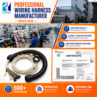 Harness Kabel Otomotif Universal Profesional HZEMS, Konektor ECU Kustom, Kotak Canbus Mobil, Harness Kabel, Pasokan Pabrik Dongguan