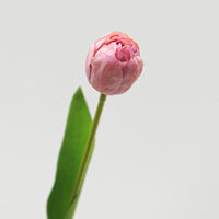 Fleurs artificielles de camélia et de tulipe à toucher réel, les plus vendues, pour la décoration de mariage, de la maison, de l'hôtel, de la table à manger, de la remise des diplômes et de Noël