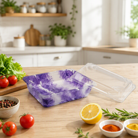 Conteneur à sushi 180x135mm avec couvercle transparent, plateau en plastique PET de qualité alimentaire épaissi pour buffet, fête, restauration en gros