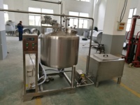Ligne de traitement automatique du jus de raisin, équipement de fermentation du raisin, réservoir de production de vin de raisin