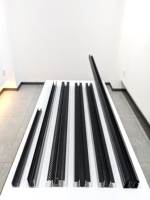 Rails de plafond magnétiques pour éclairage sur rail LED extensible en aluminium noir 1m 2m 3m