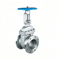 Vanne à opercule manuelle en acier inoxydable CHX API 8'' ASTM A216 WCB 6'' 150-900lb ANSI/API600/6D/6A pour l'industrie pétrolière, gazière et hydraulique