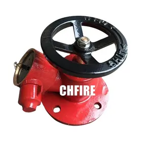 CHFIRE制造商65毫米登陆阀消防栓带法兰，出口黄铜登陆阀消防系统