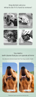 Nouvel appareil portable à ultrasons pour éliminer le tartre et la plaque dentaire chez les chiens, nettoyeur dentaire pour chiens, blanchiment des dents pour animaux de compagnie, détartreur dentaire manuel pour animaux de compagnie