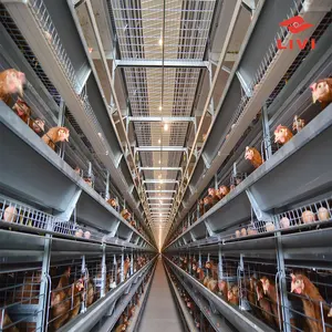 Cage à œufs de poulet automatique de type A de type H avec conception de maison de ferme de volaille