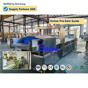 Baiyu Customizable Cleaning Machine Fruit and Vegetables Blanching Cleaning Cutting Quick Frozen Machine Processing Line