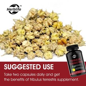 ยาแคปซูลสารสกัดจาก Tribulus Terrestris อาหารเสริมสมุนไพร OEM ODM - Product Image 5