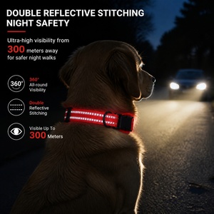 <span class=keywords><strong>Collare</strong></span> GPS Riflettente per Cani, Custodia Porta Tracker a Tinta Unita, Regolabile in Nylon, Anti-Smarrimento per Cani di Piccola/Media/Grande Taglia - Product Image 5