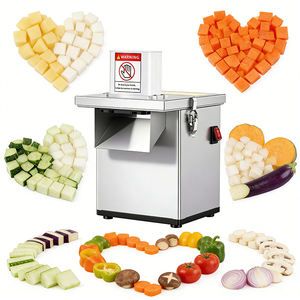 Cortadora de Verduras Motorizada de 220V de Fácil Operación para Hogares de Ancianos y Residencias de Retiro - Product Image 1