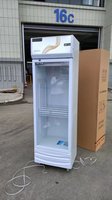 Réfrigérateur commercial à porte unique pour boissons Pepsi Congélateur Affichage Réfrigérateur Refroidi par air Équipement de réfrigération