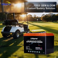 Baterai LiFePO4 24V 120AH dengan Pemanas Suhu Rendah Bluetooth M8 untuk Golf Cart, RV, Camper, Daerah Dingin, Output Daya Stabil, Cadangan Daya