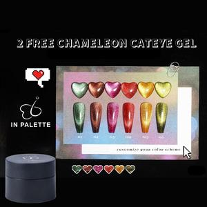 Palette di Lusso Eco-Friendly 5g 2 Free Chameleon Glitter UV <span class=keywords><strong>Gel</strong></span> Polish Cat Eye Color Collection Non Tossico Fai da Te in Bottiglia - Product Image 3