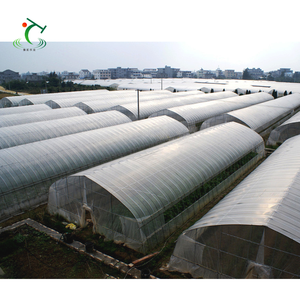 Polytunnel Greenhouse Supply Juego completo Plástico Muti-span Hdpe Green House PE Film Arch Film Invernadero de un solo tramo para tomate - Product Image 1