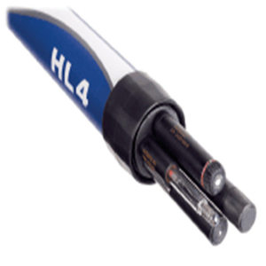 Sonde multiparamètre de qualité de l'eau Hach Hydrolab HL4 avec enregistrement des données et capteurs modulaires pour la surveillance sur site - Product Image 2