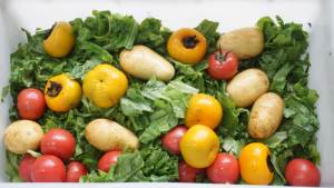 Machine à laver commerciale à ozone et à bulles pour fruits, maïs et légumes avec réservoir basculant - Product Image 4