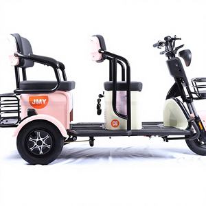 Tricycle électrique pour adultes en acier, vitesse unique, 48V 600W, pratique et écologique, avec frein à tambour - Product Image 1