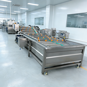 Línea de Lavado Industrial Comercial para Frutas, Lavadora de Fresas y Arándanos para Producción de Smoothies y Jugos - Product Image 2