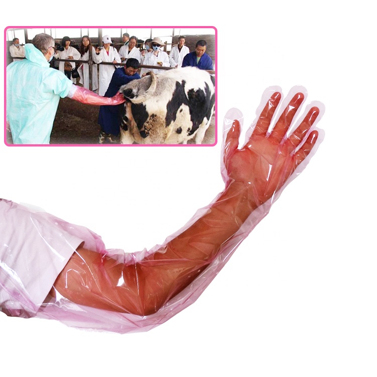 Farm Veterinary Einweg 90cm lange Manschetten ärmel Touch ntuff Kunststoff Pe Latex Free Insemination Handschuhe