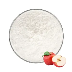 100% Pure And Natural Food Grade Apple Extract Powder