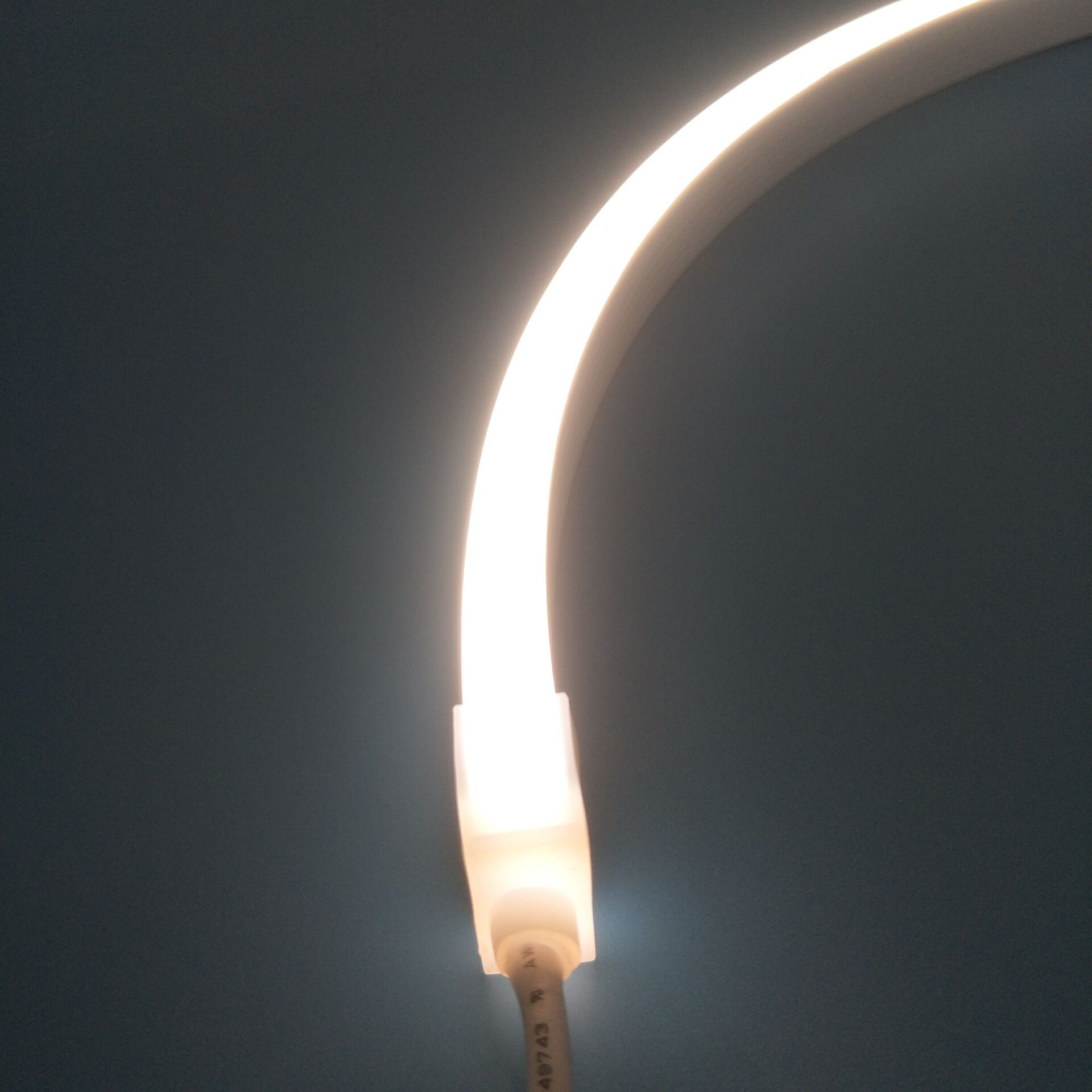 High Cri 95 Neon Flex Led Strip Light Silicone Tube 12V 24V 4*8mm 6*12mm 10*10mm 4x8 6x12 10x10 mm 4mm 6mm 10mm Neon Led Strip
