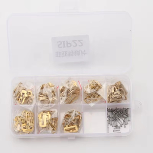 SIP22 plaque de verrouillage de <span class=keywords><strong>voiture</strong></span> Reed laiton matériel serrure à <span class=keywords><strong>clé</strong></span> automatique Wafer réparation Kits de ressaisie pour porte <span class=keywords><strong>Fiat</strong></span> (200 pièces) - Product Image 5