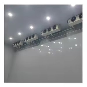 Cámara Frigorífica Logística <span class=keywords><strong>de</strong></span> Gran Capacidad con Motor y Equipo <span class=keywords><strong>de</strong></span> Congelación, Unidad Condensadora <span class=keywords><strong>de</strong></span> Refrigeración - Product Image 4