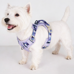 Harnais anti-traction <span class=keywords><strong>pour</strong></span> chien, harnais réglable respirant et réfléchissant <span class=keywords><strong>pour</strong></span> animaux de compagnie, harnais gilet <span class=keywords><strong>pour</strong></span> chiens et chiots - Product Image 3
