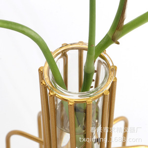 Seeking Excellence Glass Hydroponic Vase Gold Cage Design For Desktop Plant Decoration 25x35x150mm Eco Friendly - Product Image 5