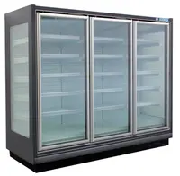 Porta de vidro comercial showcase exibe congelador upright geladeira no superfício