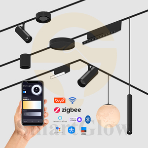 5mm cực kỳ hẹp nhôm nam châm theo dõi đường sắt DC24V từ Spotlight Tracklight LED siêu mỏng từ theo dõi hệ thống ánh sáng - Product Image 3