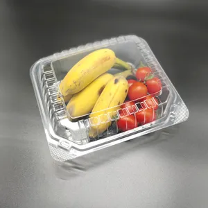 9 Inch BOPS Material Food Container Factory Price Fast Food Packaging Plastic Transparent Food Packaging Container For Takeaway