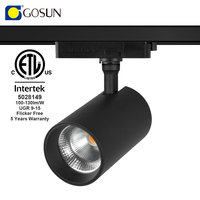 Monophasé 3 fils Nouveau design Construit en adaptateur standard américain ETL Spotlight Track Anti Glare Flicker Free 20W Cob Led Track Light
