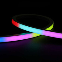 Bande lumineuse à corde flexible RGBIC de 16 pieds 24V néon dynamique pour l'extérieur connectivité USB étanche découpable pour le paysage