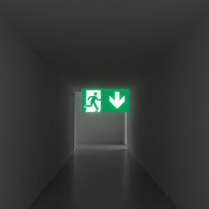 Uscita di emergenza verso il basso segno freccia destra-300 in alluminio luminescente * 160mm - Product Image 3