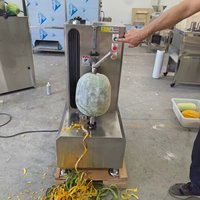 Éplucheur et trancheur électrique de mangues pour la préparation de chips, machine à éplucher les fruits et légumes verts crus
