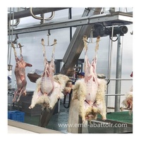 Machine d'abattage de bétail et de moutons à moteur en acier inoxydable, 100 animaux/jour, haute productivité pour l'abattage en abattoir