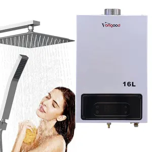 <span class=keywords><strong>Chauffe</strong></span>-<span class=keywords><strong>eau</strong></span> instantané au gaz domestique mural de 24 kW avec certificat CE pour le chauffage intérieur - Product Image 1