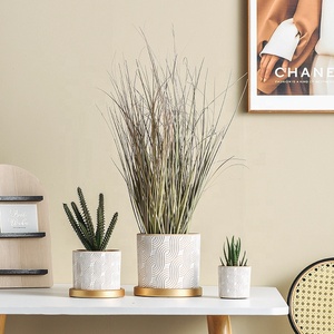 <span class=keywords><strong>Maceta</strong></span> de terracota decorativa para interiores, <span class=keywords><strong>maceta</strong></span> en relieve, cilindro creativo, decoración de balcón para el hogar, macetas de bonsái - Product Image 3