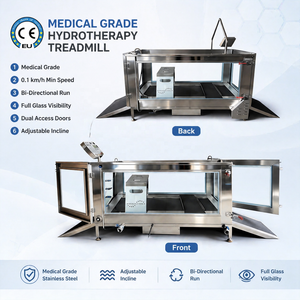 Cinta de correr subacuática eléctrica para perros grandes y gatos, para hidroterapia canina en clínicas veterinarias, a la venta - Product Image 2