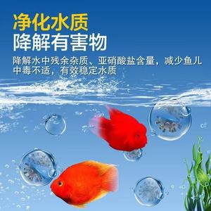 Stabilisateur d'eau pour poissons Dongyujiang 710 ml, purifie l'eau, décompose les déchets pour les aquariums d'eau douce et d'eau salée - Product Image 4