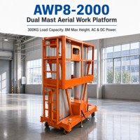 Plateforme Élévatrice Deux Mâts Aluminium 8m 300kg 9.7m pour Deux Opérateurs Entrepôt Commerce