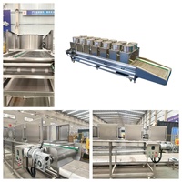LTK 500kg/uur Hoge Kwaliteit Automatische Aardappelverwerkingsmachine Industriële Productielijn voor Diepvriesfrieten en Aardappelchips