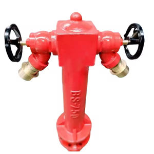 Hydrant d'incendie à colonne de type humide à 2 voies, le plus vendu, pour équipement de lutte contre l'incendie - Product Image 2