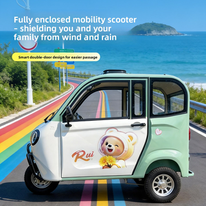 Tricycle électrique entièrement fermé pour usage domestique, petit véhicule à énergie nouvelle pour femmes avec abri, véhicule de déplacement quotidien pour personnes âgées - Product Image 2