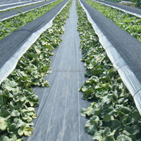 Paillis de sol en plastique noir pour couverture agricole robuste tissé en PP