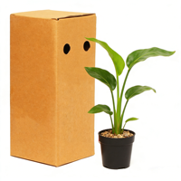Emballage d'expédition de plantes vivantes en carton ondulé écologique, boîte en papier personnalisée pour plantes succulentes en pot