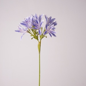 Lirio Artificial de Agapanto Blanco Lavanda Hecho a Mano, Decoración para <span class=keywords><strong>el</strong></span> Hogar, Bodas, Navidad, Graduación, Año Nuevo Chino - Product Image 3